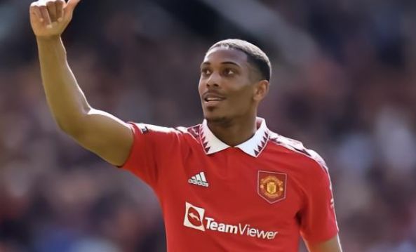 化的对手分 化的对手分